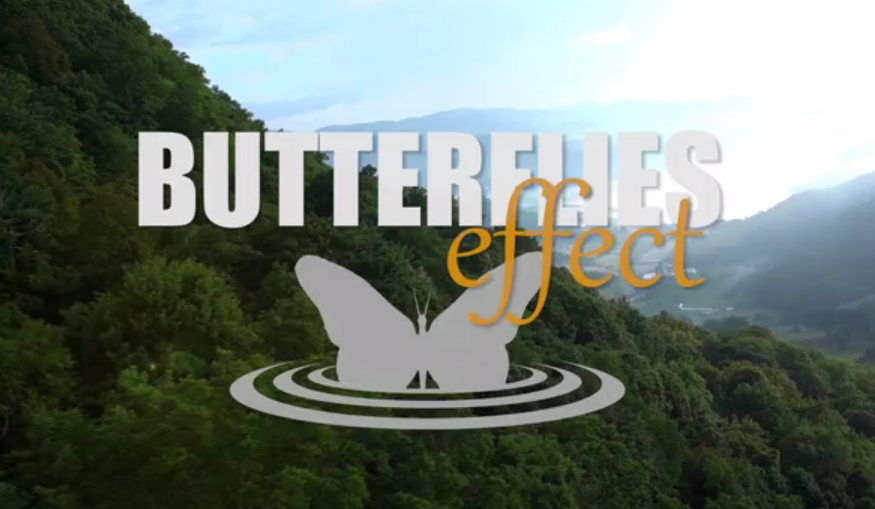 Butterflies 1